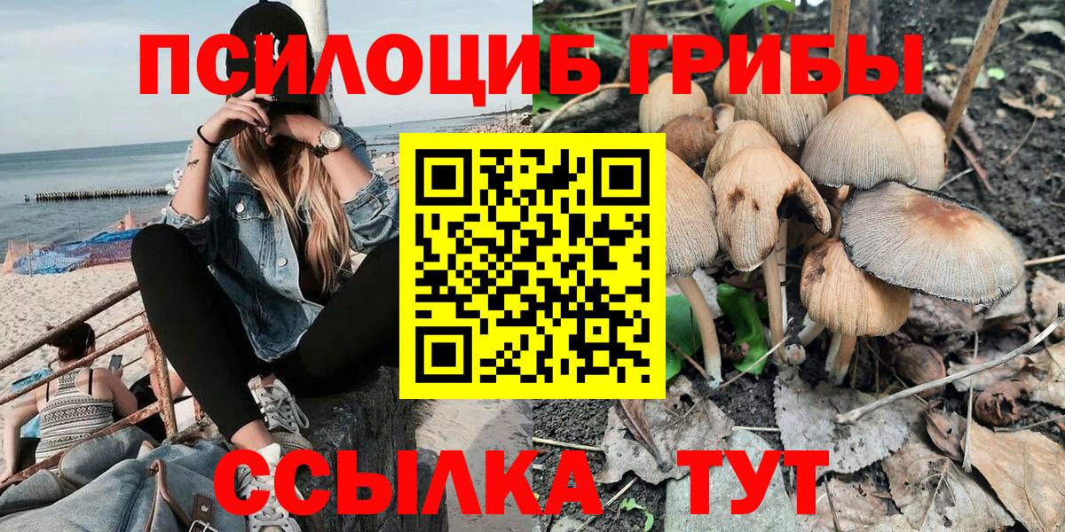 Галлюциногенные грибы MAGIC MUSHROOMS Пугачёв